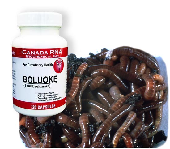 Earthworms Boluoke